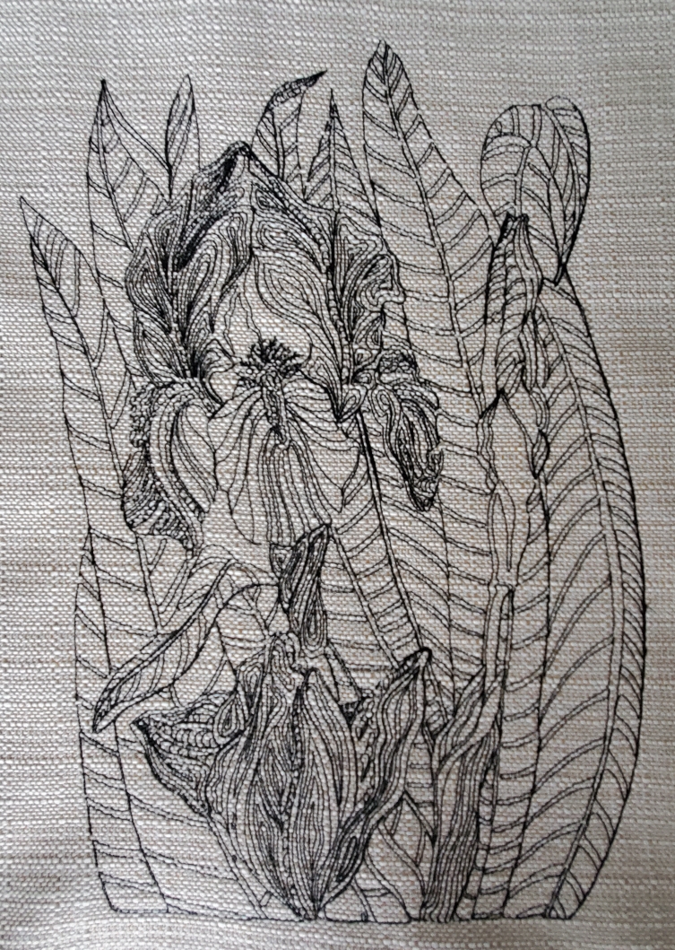 Iris-AcuSketch-oversized-embroidery-Jennifer-Wheatley-Wolf